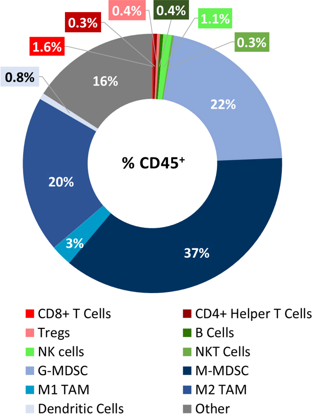 Fig. 1: Immunophenotyping of tumor immune cell infiltrates in the LL/2 model.