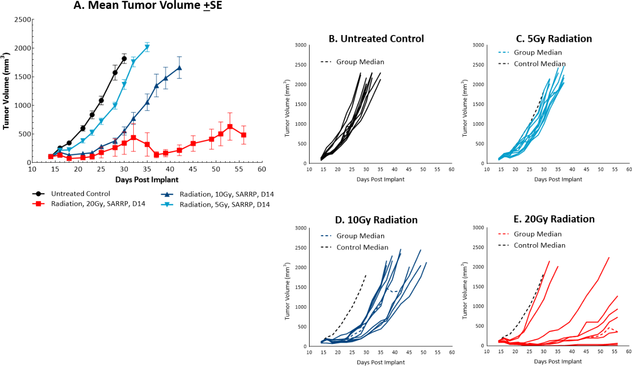 Fig. 3: Mean and individual growth of MC38 tumors following focal radiation therapy.