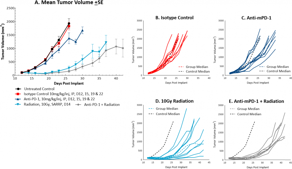 Fig. 4: Mean and individual growth of MC38 tumors following combination treatment with anti-mPD-1 and focal radiation.