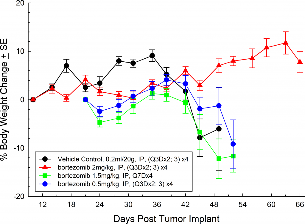 Fig. 5: MM.1S-pMMP-LucNeo human multiple myeloma in SCID Beige mice: Mean % Body Weight Change