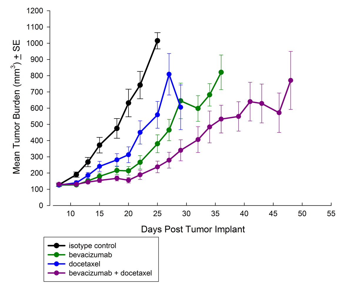 Fig. 2: Anti-tumor Effects of Docetaxel, Bevacizumab or the Combination on SC A549 NSCLC Tumors