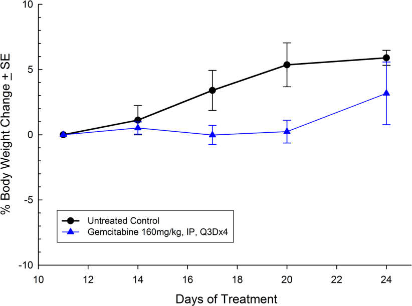 Fig. 8: Subcutaneous MIAPaCa-2 % Body Weight Change with Standard Error