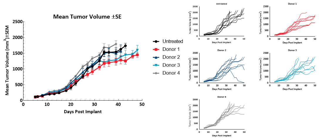 Figure 2 – Tumor Growth of MiaPaCa2 subcutaneous tumors (n=10) following hPBMC administration.