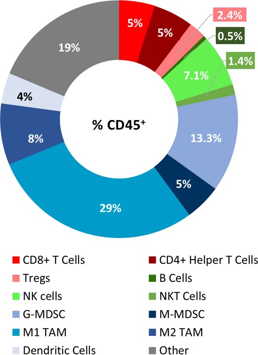 Fig 2: Immune profile of PyMT tumor infiltrates