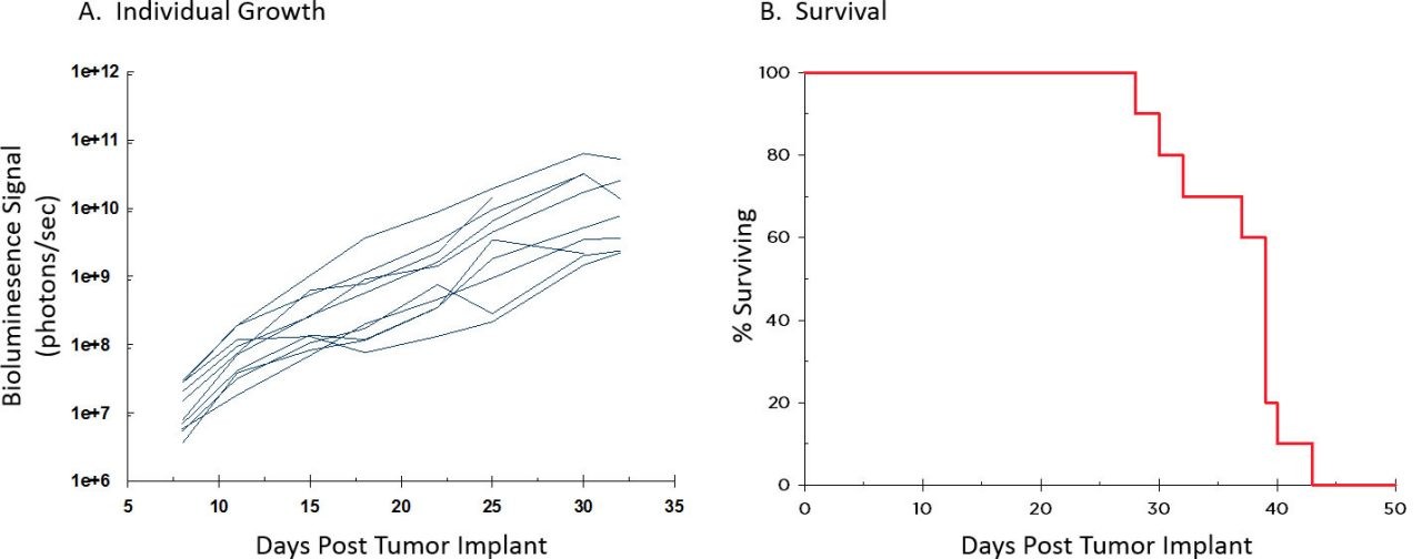 Fig. 3: Individual A20-Luc Growth Kinetics and Survival