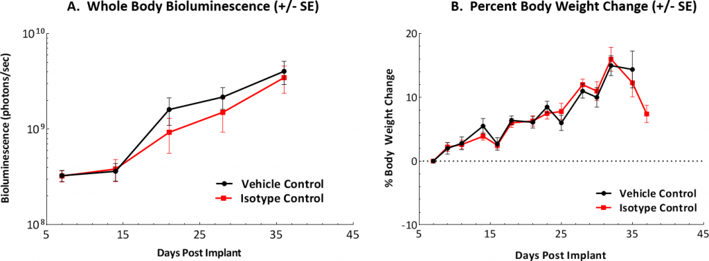 Fig. 1A: Graphical representation of tumor burden found in control mice following IP implantation. Fig. 1B: Body weights were measured three times weekly and percent change from day of implant (day 0) is shown.