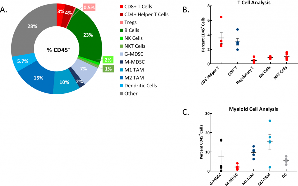 Fig. 2A: Representative donut plot shows distribution of immune cell populations as percent of total CD45+ population. Fig 2B: Analysis of T cell populations. Fig. 2C: Analysis of myeloid cell populations. Study run with n=5 individual mouse ascites samples.