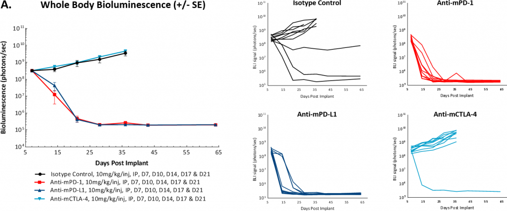 Fig. 3A: (Left) Mean data. (Right) Individual photon/second read-outs over time for each mouse in the study. Groups were each n=10.