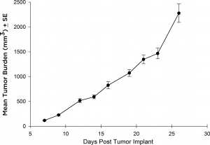 Fig. 3: Subcutaneous growth of SC implanted Raji-Luc cells in CB.17 SCID mice