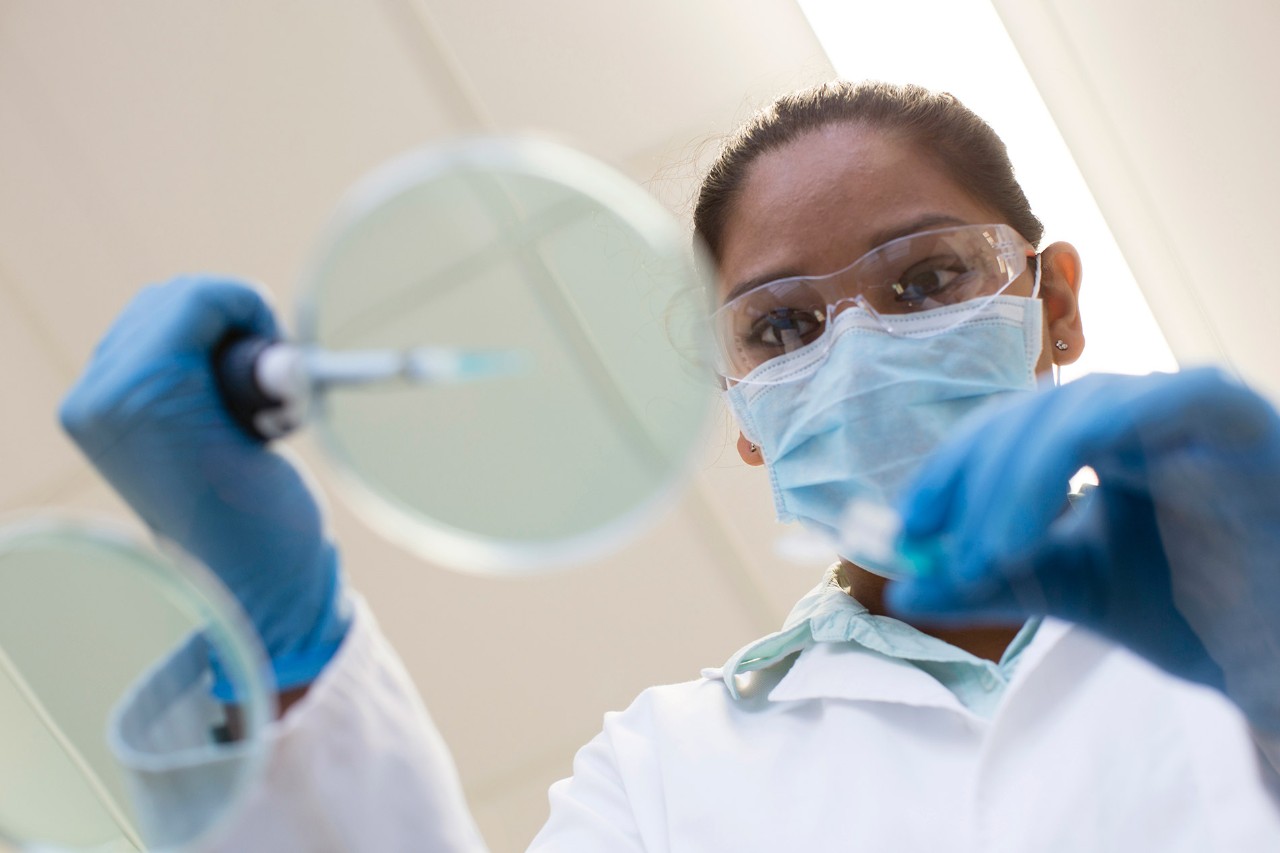 Mixed race scientist pipetting into sample in laboratory