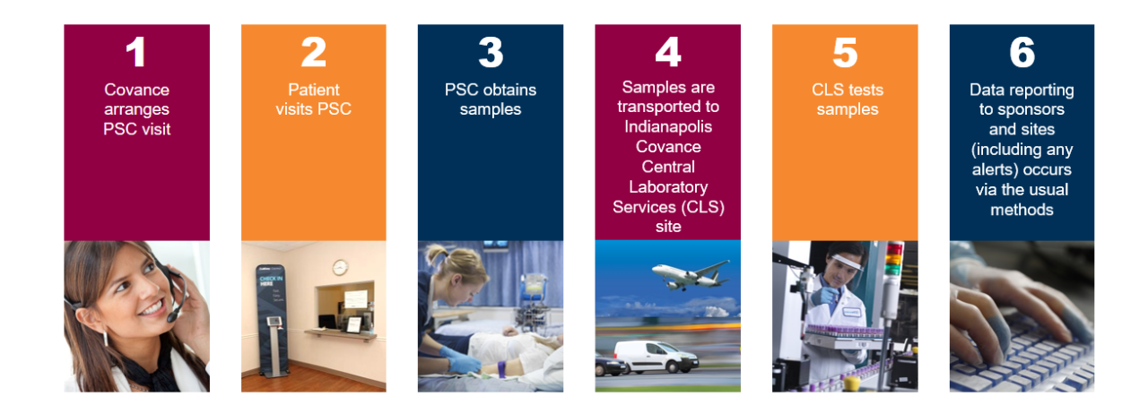 Process of Samples