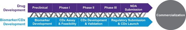 Companion Diagnostics Process