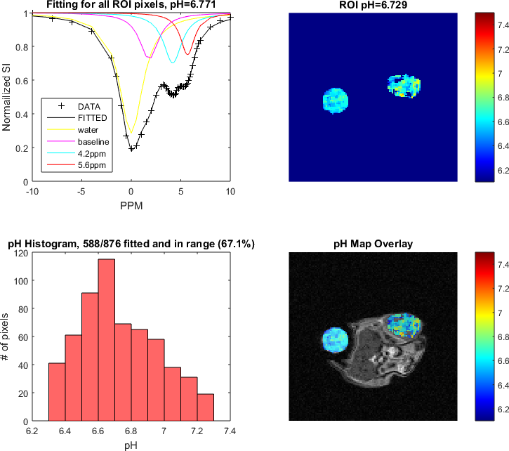  Tumor pH Measurement using OASIS™ for CEST MRI Analysis